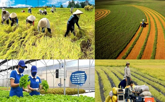 Efforts made to realise the goal of a Viet Nam with no poverty