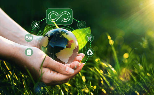 Fostering green consumption for sustainability