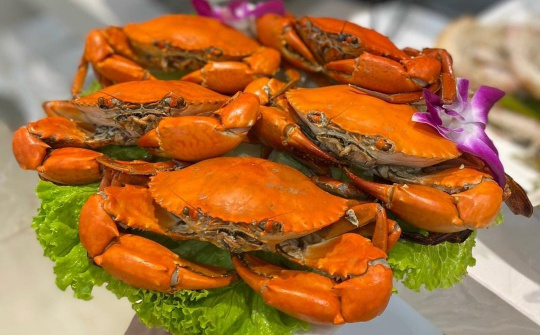 Cua Cà Mau hướng tới thương hiệu quốc tế, và những trăn trở cần giải quyết