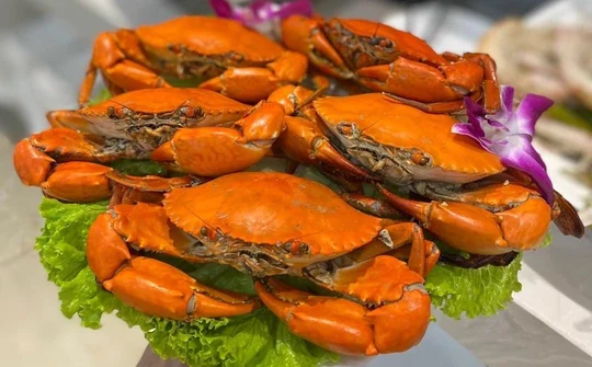 Cua Cà Mau hướng tới thương hiệu quốc tế, và những trăn trở cần giải quyết