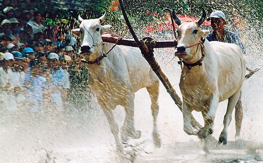 An Giang thắp sáng giá trị đoàn kết, nâng cao đời sống đồng bào dân tộc