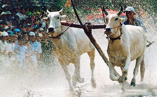 An Giang thắp sáng giá trị đoàn kết, nâng cao đời sống đồng bào dân tộc
