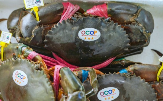 Khẳng định giá trị – Lan tỏa thương hiệu Cua Cà Mau tại Ngày hội lần II