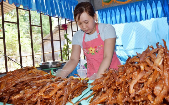 Đồng Tháp hỗ trợ hơn 1.000 phụ nữ hiện thực hóa ý tưởng khởi nghiệp