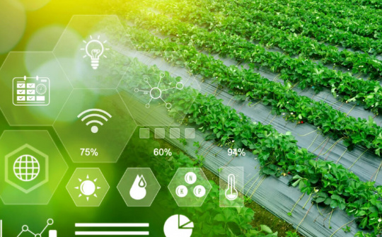 Circular economy - a strategic path for sustainable agriculture in Vietnam