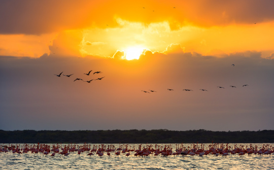 Colombia, the Country of Beauty, through its National Parks