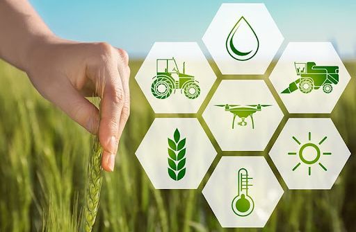 Chuyển giao công nghệ đảm bảo tài sản trí tuệ cho doanh nghiệp sáng tạo
