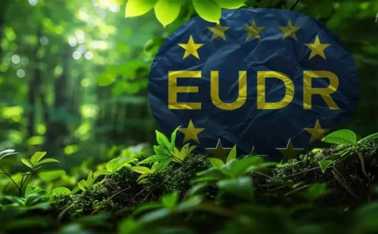 Khẳng định cam kết phát triển bền vững: Việt Nam tăng tốc chuẩn bị thực thi Quy định EUDR