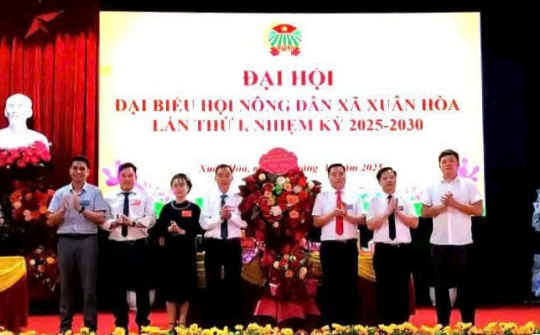 Phát huy vai trò của tổ chức Đảng trong giảm nghèo bền vững ở xã Xuân Hoà tỉnh Lào Cai