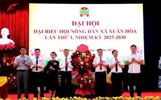 Phát huy vai trò của tổ chức Đảng trong giảm nghèo bền vững ở xã Xuân Hoà tỉnh Lào Cai