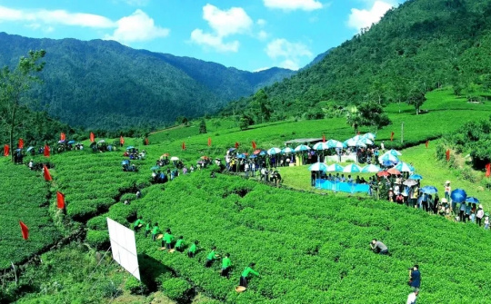 Trà Thái Nguyên – Hương sắc danh trà 2025: Tôn vinh di sản, lan tỏa giá trị văn hóa và phát triển bền vững