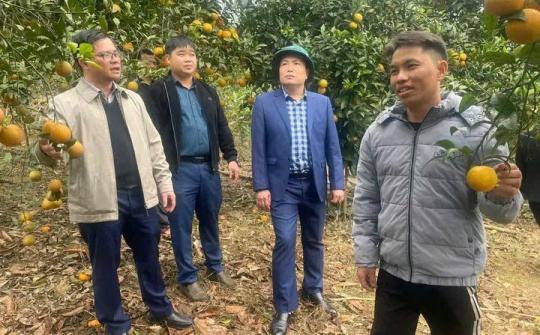 Xuân Hòa (Lào Cai) tạo đột phá trong giảm nghèo: Những mô hình kinh tế từ nông - lâm nghiệp vươn lên bền vững