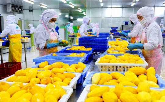 Trên 2.700 doanh nghiệp thành lập mới, Đồng Tháp bứt tốc năm 2025