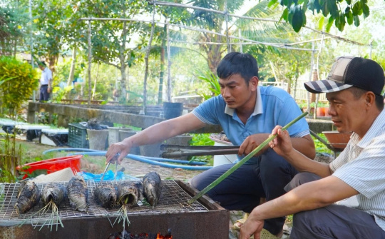 Tân Hòa – Xã đầu tiên của Cần Thơ tiên phong phát triển du lịch cộng đồng bền vững