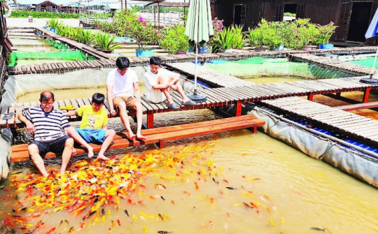 TP Cần Thơ: Người dân địa phương là linh hồn của du lịch cộng đồng