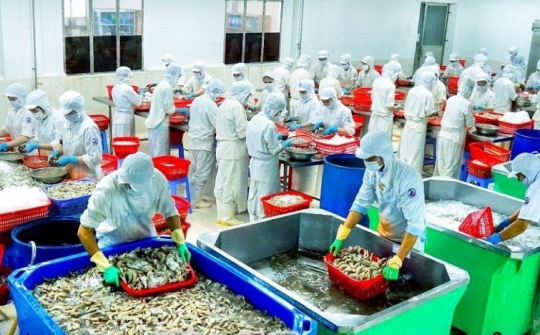 Cà Mau đẩy mạnh xúc tiến, mở rộng “cửa ngõ” thu hút dòng vốn đầu tư