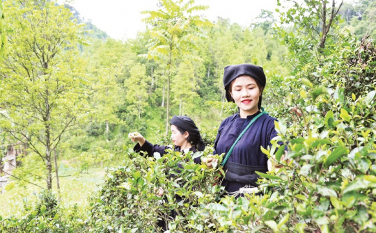 Đổi mới chuẩn nghèo theo hướng đa chiều, số hóa: Yêu cầu tất yếu cho giảm nghèo bền vững giai đoạn mới