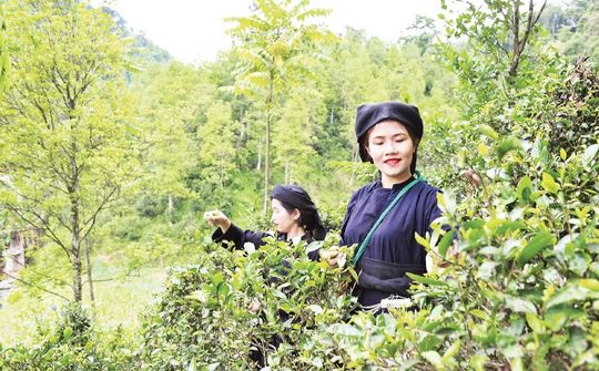 Đổi mới chuẩn nghèo theo hướng đa chiều, số hóa: Yêu cầu tất yếu cho giảm nghèo bền vững giai đoạn mới
