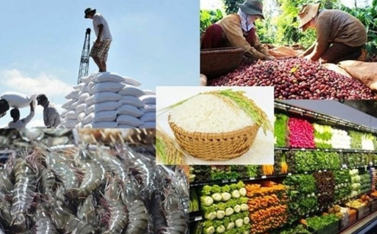 Đồng Nai nâng tầm nông sản, tạo nền tảng bền vững cho xuất khẩu