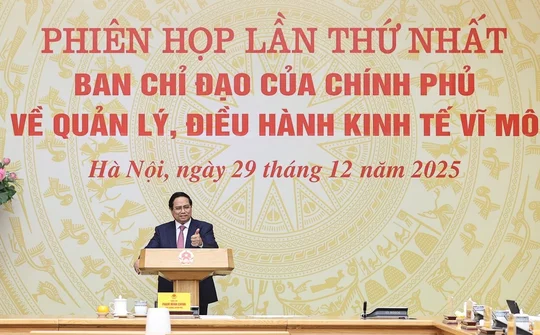 Năm 2026: Tăng trưởng nhanh nhưng bền vững
