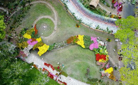 Sa Đéc xác lập kỷ lục Bản đồ Việt Nam tạo hình từ 1.000 giống hoa kiểng