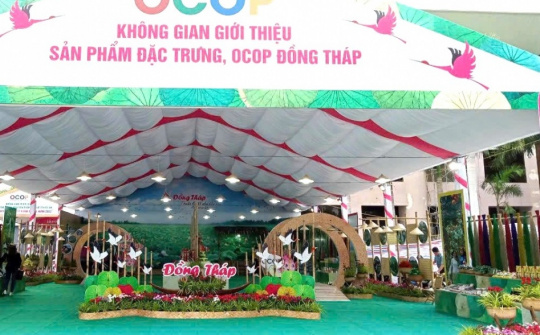Sản phẩm OCOP Đồng Tháp – Từ làng nghề đến mùa xuân