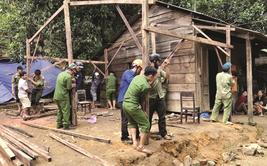 Báo cáo tiến độ, kết quả thực hiện “Chiến dịch Quang Trung” hằng tuần cho Thủ tướng