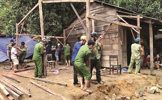 Báo cáo tiến độ, kết quả thực hiện “Chiến dịch Quang Trung” hằng tuần cho Thủ tướng