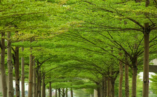 Vì một Việt Nam sáng – xanh – sạch – đẹp