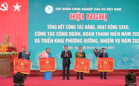 VRG bứt phá mạnh mẽ: Lợi nhuận tăng 23,6% bất chấp thách thức thời tiết cực đoan