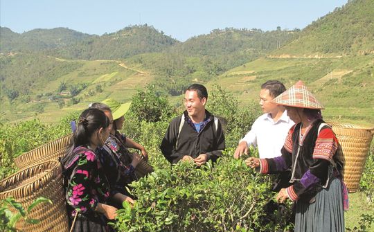 Xóa đói, giảm nghèo ở miền núi Việt Nam: Từ thực tiễn chính sách đến thành tựu