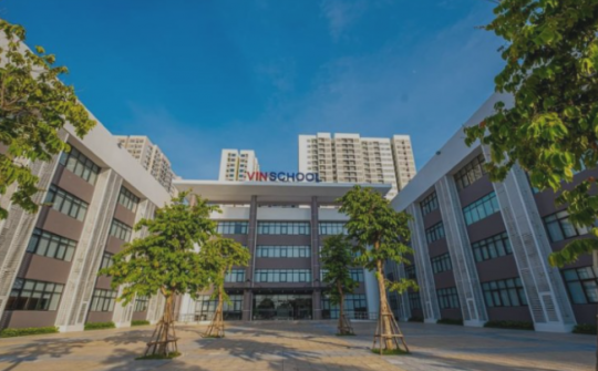 Bí quyết giúp đôi bạn Vinsers chinh phục học bổng Ivy League danh giá