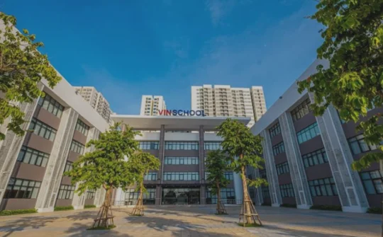 Bí quyết giúp đôi bạn Vinsers chinh phục học bổng Ivy League danh giá