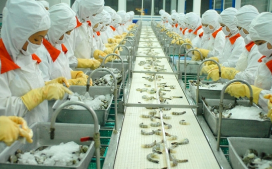 Ngành công nghiệp thực phẩm Việt Nam: Bứt phá mạnh mẽ trên thị trường quốc tế