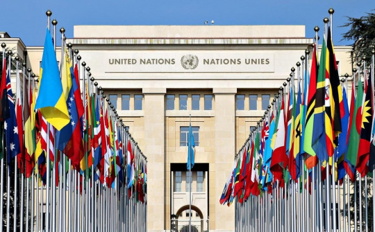 Viet Nam announces bid for candidacy of UN Human Rights Council in 2026-2028 term