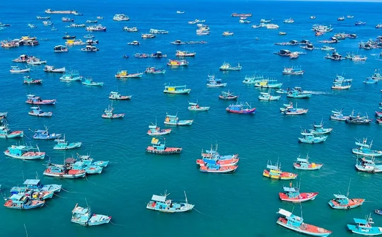 Đưa Việt Nam là quốc gia mạnh về biển, giàu từ biển