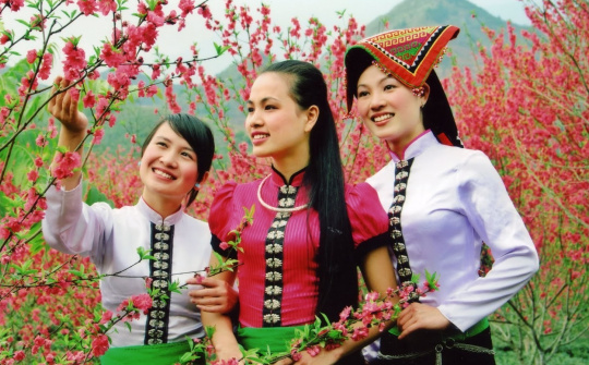Sustainable Development of Social Insurance Policies for Ethnic Minority areas be implemented