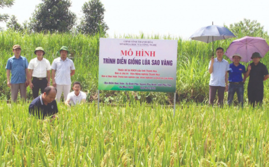 Một số nhiệm vụ, giải pháp KHCN, đổi mới sáng tạo và chuyển đổi số thúc đẩy phát triển nông nghiệp tỉnh Thanh Hóa nhanh và hiệu quả