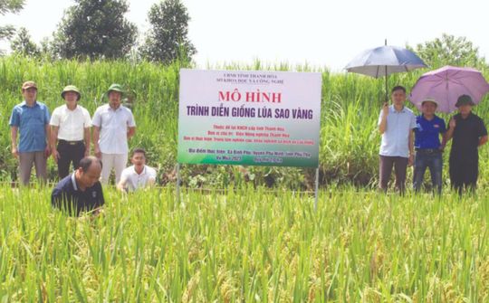 Một số nhiệm vụ, giải pháp KHCN, đổi mới sáng tạo và chuyển đổi số thúc đẩy phát triển nông nghiệp tỉnh Thanh Hóa nhanh và hiệu quả