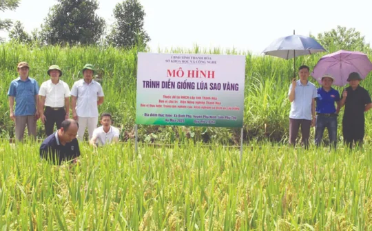Một số nhiệm vụ, giải pháp KHCN, đổi mới sáng tạo và chuyển đổi số thúc đẩy phát triển nông nghiệp tỉnh Thanh Hóa nhanh và hiệu quả