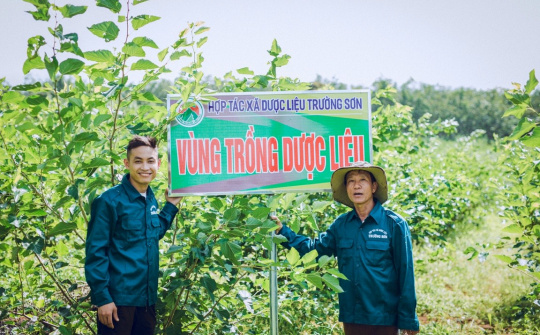 Chàng trai biến cây dược liệu thành nhiều loại tinh dầu thơm nức, thu hút người mua