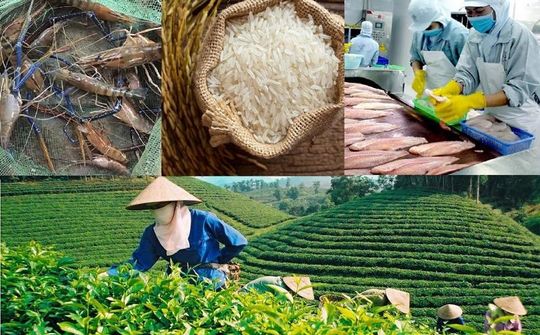 Thương hiệu Quốc gia: Chìa khóa nâng cao vị thế Việt Nam trên trường quốc tế