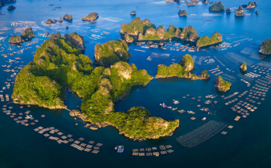 Sửa, bổ sung Luật Tài nguyên, môi trường biển và hải đảo