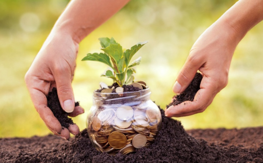 Sử dụng đất tiết kiệm và có hiệu quả; khai thác hợp lý tài nguyên thiên nhiên và bảo vệ môi trường
