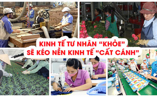 Tập đoàn kinh tế tư nhân và những vấn đề đặt ra trong phát triển kinh tế thị trường định hướng xã hội chủ nghĩa ở Việt Nam