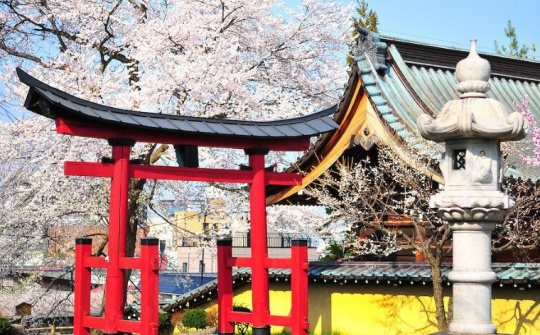 Chiến lược bảo tồn văn hóa truyền thống của Nhật Bản trong thời đại toàn cầu hóa: Bài học và kinh nghiệm cho Việt Nam