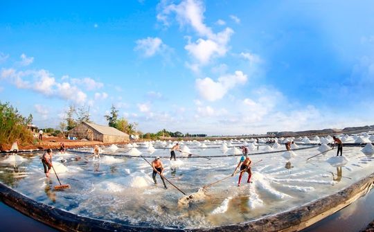 Nâng tầm giá trị hạt muối Việt Nam