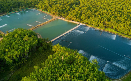 Vietnamese seafood industry proactively adapts to new EU regulations