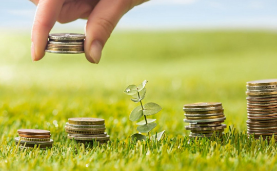 Nghị định quy định việc giảm tiền thuê đất năm 2024