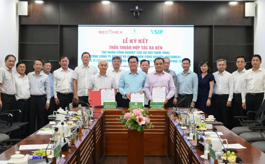 VRG: Đột phá để đạt mục tiêu tăng trưởng 8% trong năm 2025